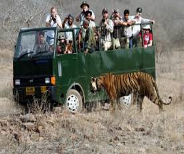 Delhi: Ranthambore National Park 3-Day Trip w/ Tiger Safari - Who should book this Delhi to Ranthambore tiger safari?