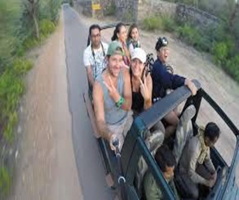 Delhi: Ranthambore National Park 3-Day Trip w/ Tiger Safari - Your driver and forest guide: comfort, clarity, and names that matter