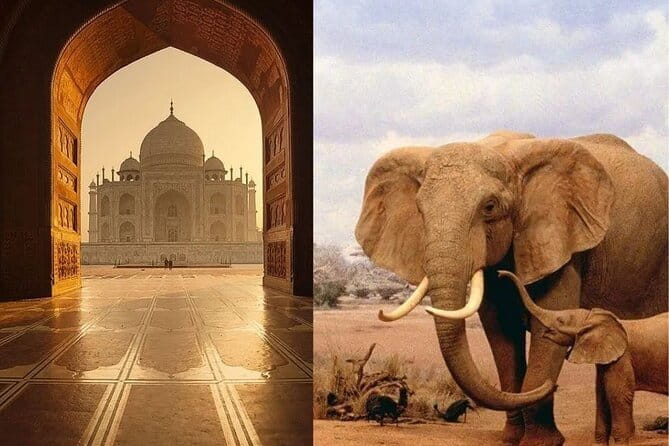 Delhi: Same Day Taj Mahal & Agra Fort Tour with Baby Taj & Lunch - Agra Fort: The Mughal Walled Palace Moment You Can Feel