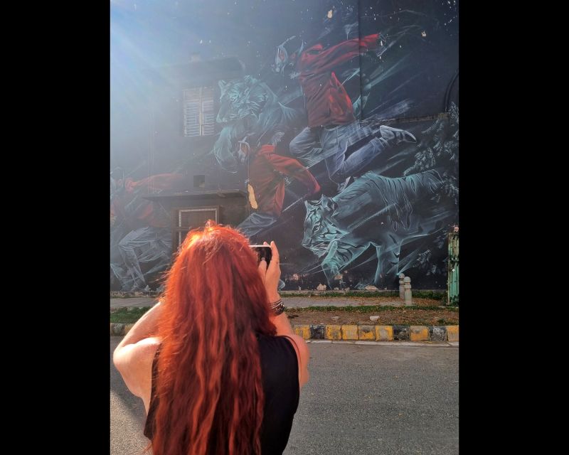 Delhi Street Art Tour: Explore the Murals & Visit a Stepwell - Price and value: what $38 buys you here