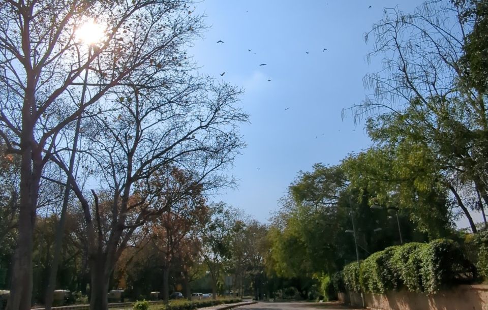 Delhi: Yoga in Lodhi Garden - Safety and Comfort: Private Attention Matters in Delhi