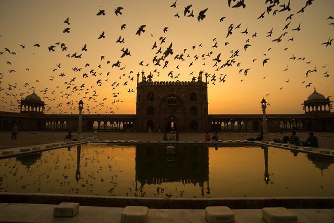 Five Day - Private Luxury Golden Triangle Tour to Agra & Jaipur From New Delhi. - Who This Tour Suits (and Who Might Want a Different Pace)