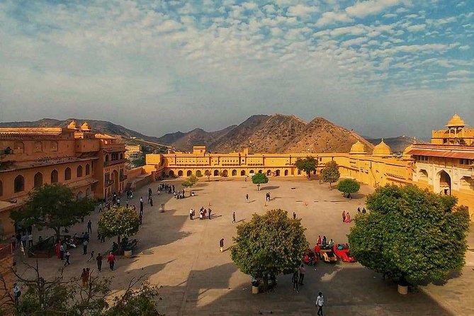 Five Days Golden Triangle Tour with Ranthambore Delhi Agra Jaipur - Day 3 Ranthambhore Morning Safari, Then the Drive to Jaipur