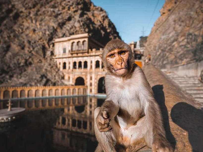 From Delhi: 2-Day Agra & Jaipur Golden Triangle Experience - The Golden Triangle, compressed: how this 2-day route actually works