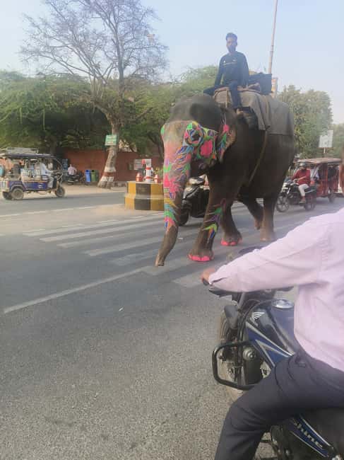 From Delhi: 3 Days Golden Triangle Tour - What the included comfort items actually change