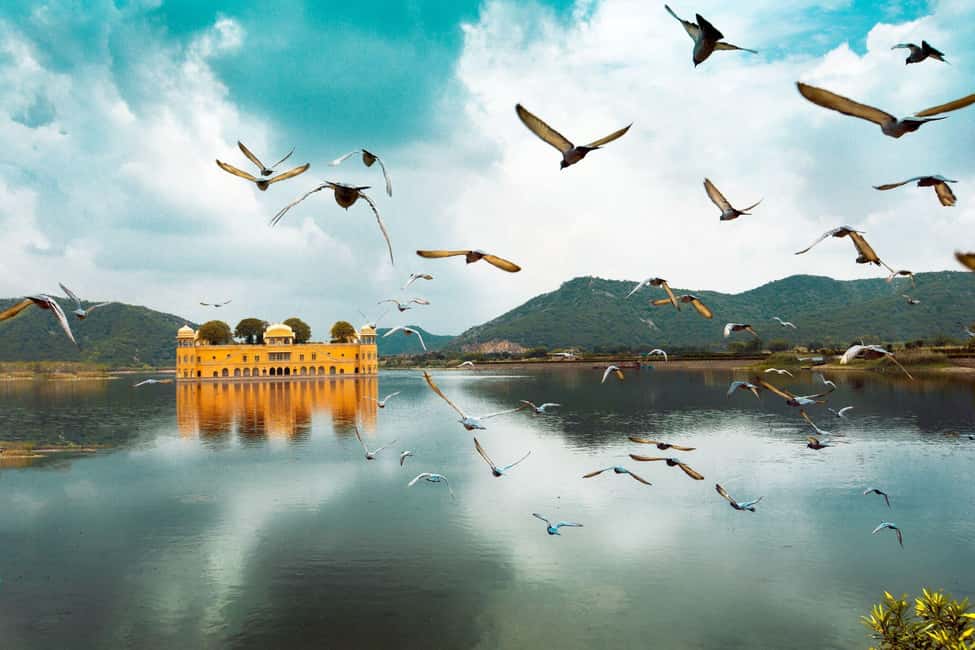 From Delhi: 4-Day Golden Triangle Tour with Tiger Safari - Ranthambore Safari Days: Two Shots at Tigers in Shared Jeeps