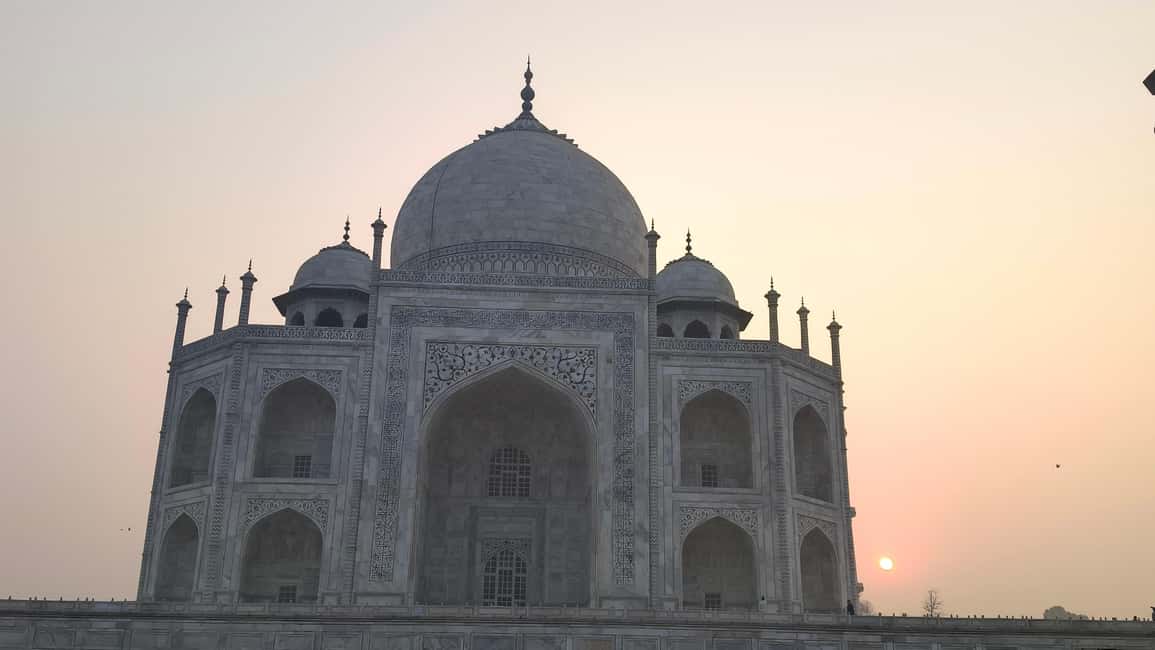 From Delhi: 5 Day Golden Triangle, Safari, & Bird Sanctuary - A 5-Day Golden Triangle Safari Mix That Moves Fast (In a Good Way)
