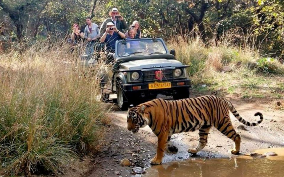 From Delhi: 6-Day Golden Triangle Tour with Ranthambore - First Impressions: A Golden Triangle Route With Real Wildlife Time