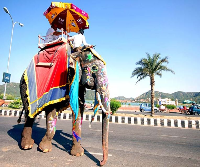 From Delhi: Private 2-Day Golden Triangle Agra & Jaipur Tour - Price and value: $91, plus what you might still pay