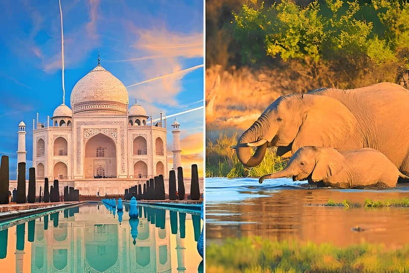 From Delhi: Sunrise Taj Mahal and Elephant Conservation Tour - Breakfast at a 5-star restaurant: fuel for a 13-hour day