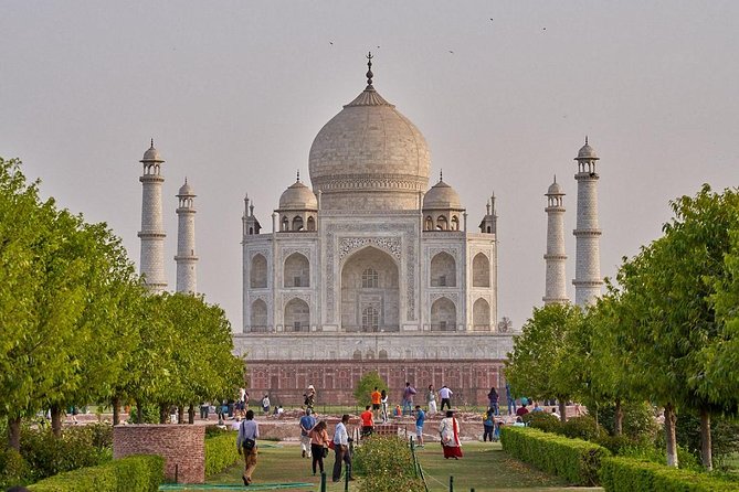From Delhi: Taj Mahal & SOS Elephant Experience – Day Trip - Wildlife SOS and the Soor Sarovar Area: Calm Elephant Conservation Time