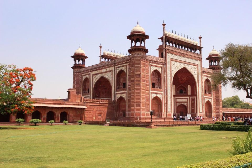 From Delhi: Taj Mahal Sunrise and Elephant Wildlife SOS Tour - Should you book this sunrise Taj Mahal and elephants tour?