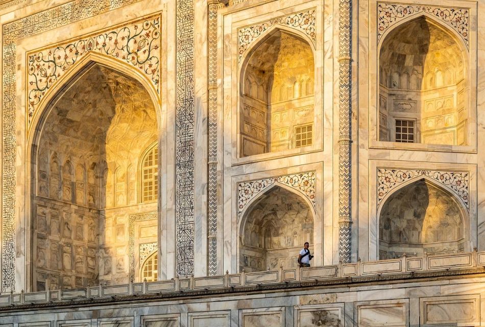 From Delhi: Taj Mahal Sunrise and Elephant Wildlife SOS Tour - Wildlife SOS Elephant Conservation: observing recovery, not chasing a ride