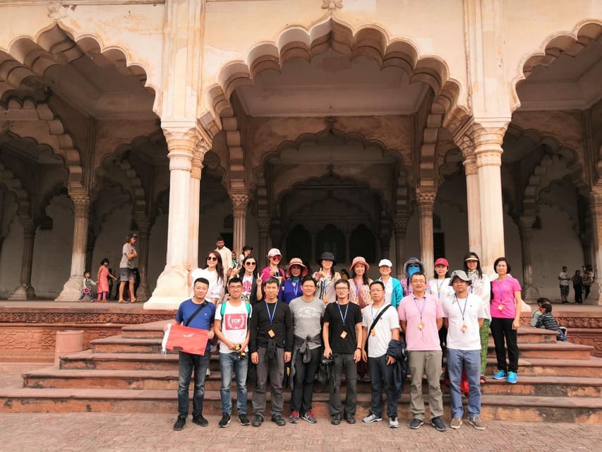 From Delhi: Taj Mahal Sunrise Tour w/ Elephant Conservation - Wildlife SOS Elephant Care Center: What Interaction Really Means