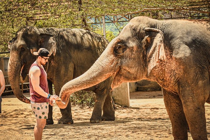 From Delhi: Taj Mahal Sunrise Tour with Elephant SOS Center - Pick-up, drive, and how the tour keeps you from wasting time