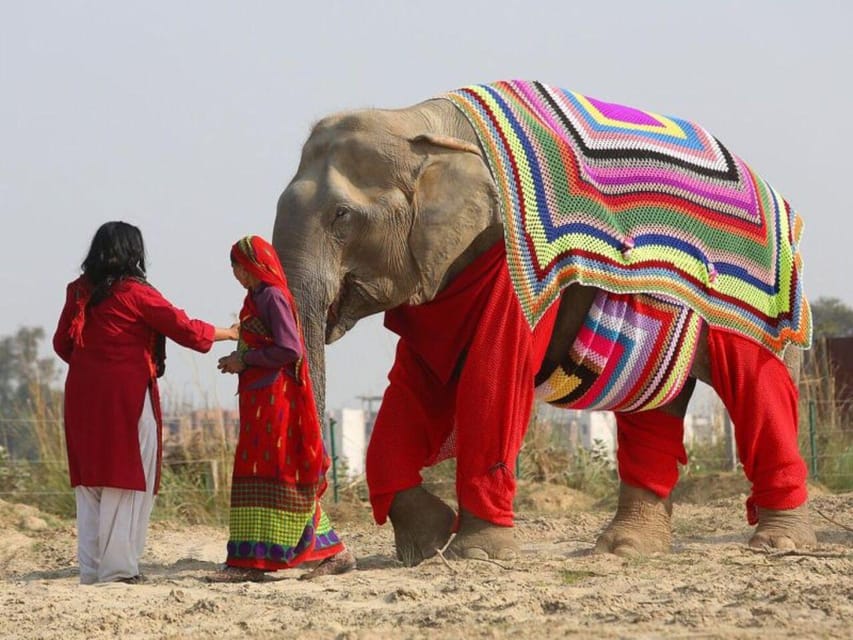 From Delhi: Taj Mahal with Photographer & Elephant SOS Tour - Key highlights worth planning around