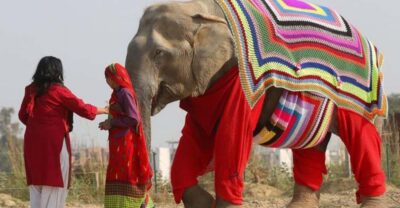 From Delhi: Taj Mahal with Photographer & Elephant SOS Tour - Pickup from Delhi: sunrise light or a more relaxed start