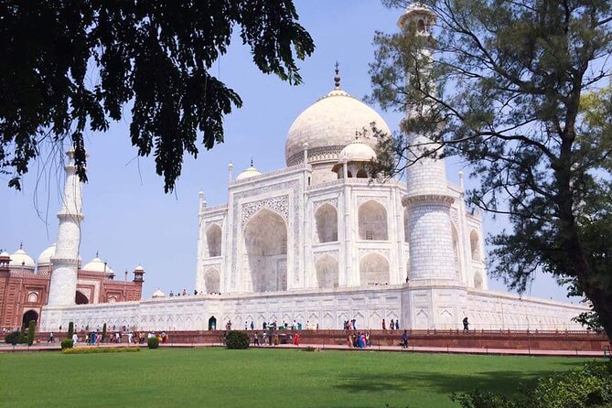 From Delhi:Taj Mahal Sunrise Tour with Elephant SOS Center - Key highlights that make this day trip work
