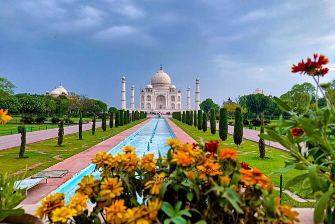 From Delhi:Taj Mahal Sunrise Tour with Elephant SOS Center - Price and logistics: what $10 buys (and what to double-check)
