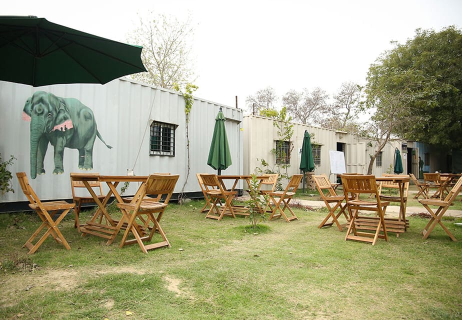 From New Delhi: Taj Mahal and Elephant Conservation Centre - Wildlife SOS Elephant Conservation and Care Center: what you’ll experience