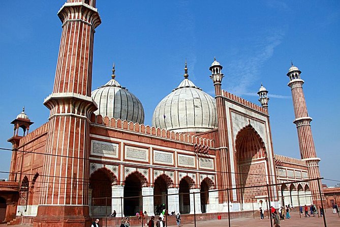 Full Day Delhi Tour - Price and what you’re really paying for at $105