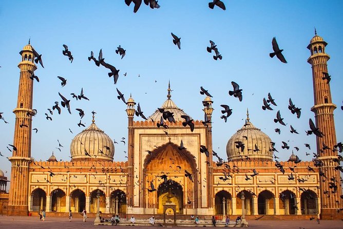 Full day Delhi tour with a Local - Private Delhi Day Tour - Gurudwara Bangla Sahib: A Peace Break When Delhi Feels Loud