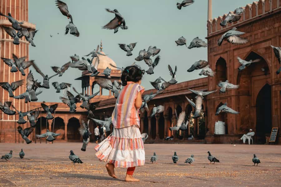 Full Day Tour of Old & New Delhi with India Iconic Red fort - Key Highlights You’ll Actually Feel During the Day
