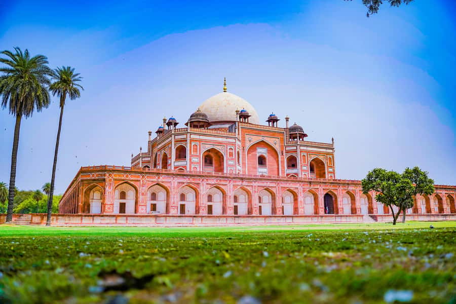Full Day Tour of Old & New Delhi with India Iconic Red fort - Akshardham and Bangla Sahib: Big Architecture, Different Values