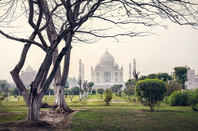 Golden Triangle Tour - Day 7 back to Delhi: airport transfer and the tour ending