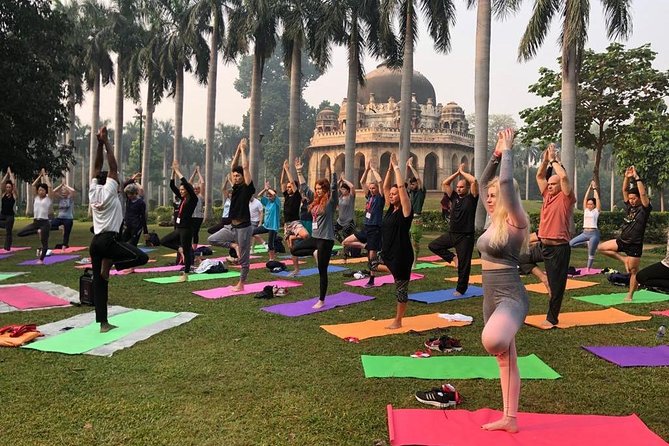 Half Day Yoga Meditation Workshop (6 Hrs) in New Delhi - Price and value: what $181.40 gets you in New Delhi