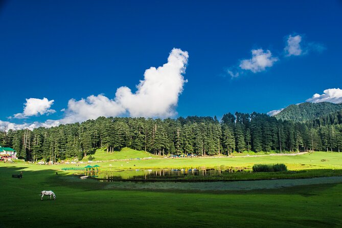 Himachal Tour Package - Key Things That Make This Tour Work in Real Life