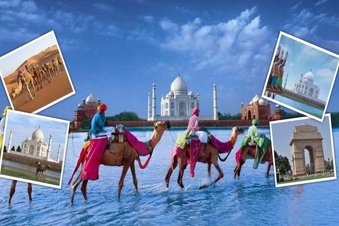 India's Best Seller-Taj Mahal and Agra Fort Tour From Delhi - Agra Fort: A Fortress That Makes Sense When Someone Explains the Timeline