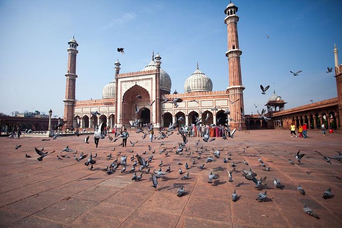 India's Bestseller - 4 Day Golden Triangle Tour Delhi, Agra & Jaipur - The One Catch: Entrance Fees and Long Sightseeing Days