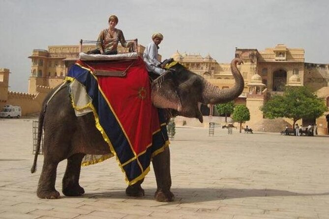 Jaipur Tour Pink City by Car From Delhi All Inclusive - Jantar Mantar: The Surprise Science Stop You’ll Actually Enjoy