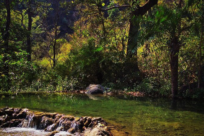 Moderate Himalayan Treks Near Rishikesh From Delhi - Key highlights you’ll actually feel