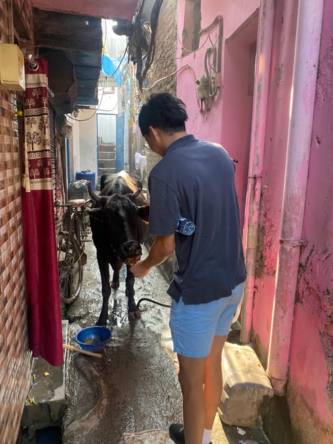 New Delhi - Ethical Sanjay Colony Slum Tour with Local guide - What the tour includes—and why $19 can make sense