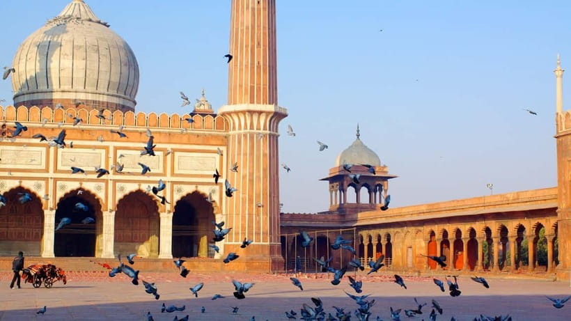 Old and New Delhi Private Full or Half Day Tour Upto 8 Hours - New Delhi Landmarks: Lotus Temple, Humayun’s Tomb, Lodi Garden, and India Gate