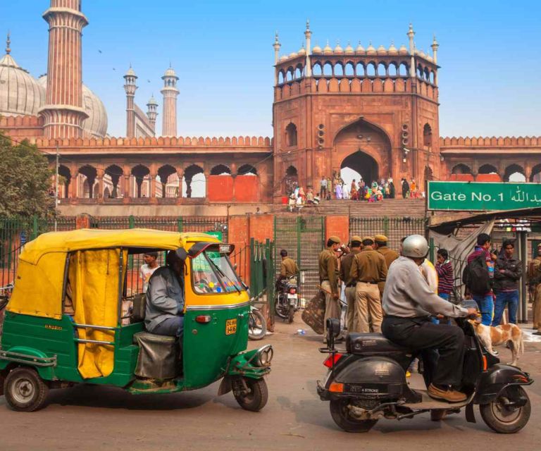Old Delhi: 3-Hour Private Tuk-Tuk/Rickshaw Ride Tour - Jain Mandir and the bird hospital: a quiet ending that surprises