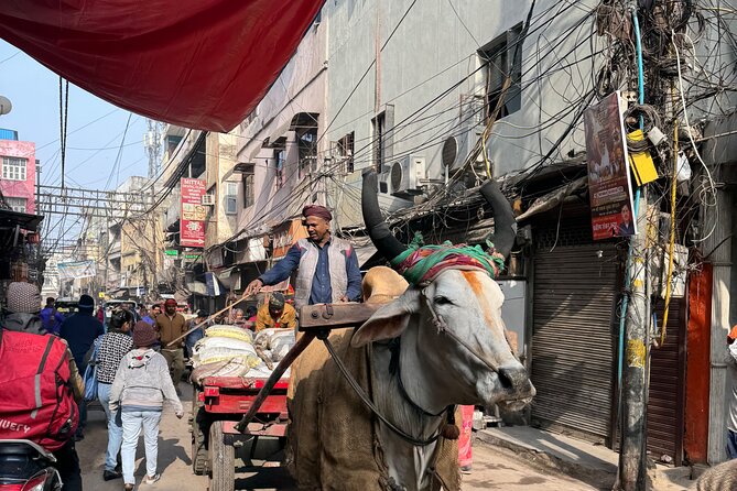 Old Delhi Heritage Food Walk - Sri Digambar Jain Lal Mandir: a quiet stop with an unusual twist