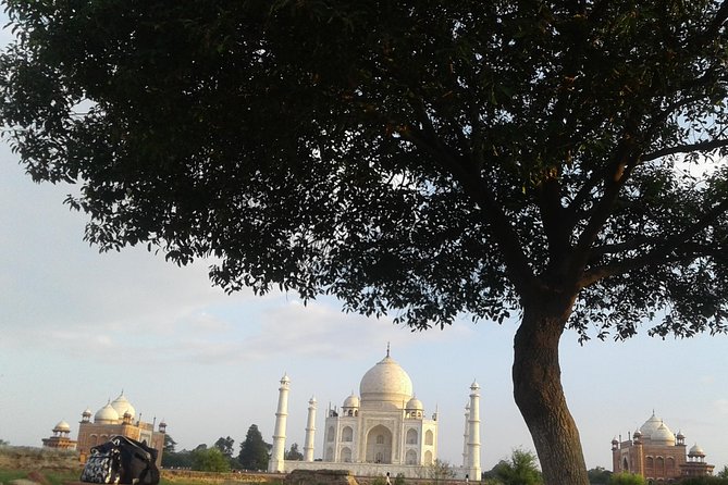 Overnight tour of Agra Taj Mahal Sunset & Sunrise from Delhi - Returning to Delhi: how the second day ends