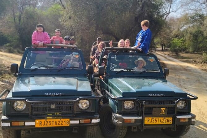 Private 4-Day Tiger Safari & Golden Triangle Tour from Delhi - Practical tips that make a difference on the ground