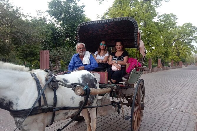 Private Day Tour Tajmahal Agra From Delhi - Price and logistics: is $92 a good deal?