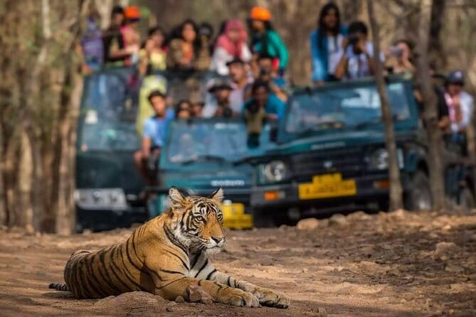 Private Delhi Agra Jaipur Multi Day Tour - Key highlights worth planning for
