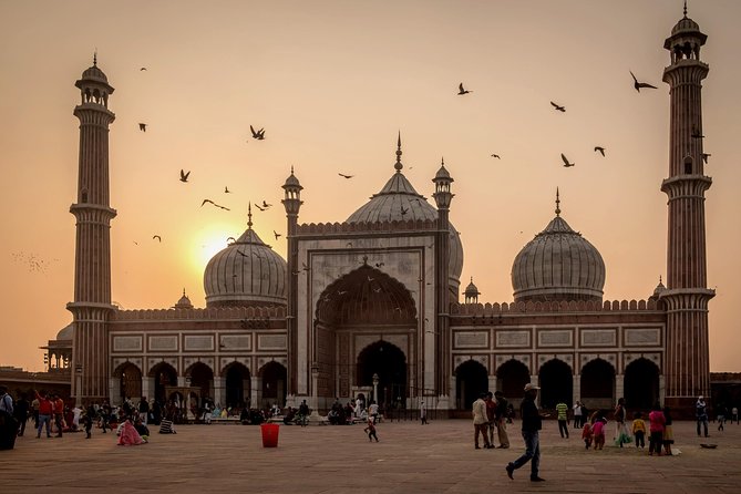 Private Delhi City Tour Including New Delhi and Old Delhi - Old Delhi: Red Fort and Jama Masjid on the schedule