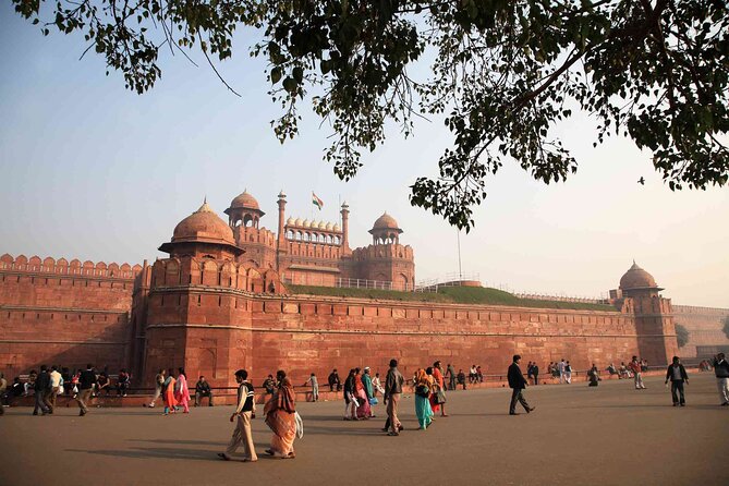 Private Full Day Old Delhi and New Delhi Tour - Getting from stop to stop without losing your day in traffic