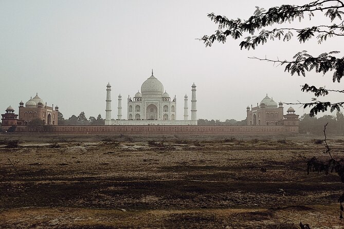 Private Full-Day Taj Mahal and Agra Fort Tour from New Delhi - Itmad-ud-Daula, the Baby Taj: why this stop is worth your time