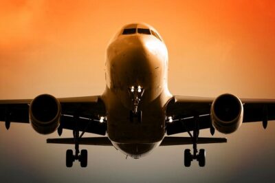 Private Round-Trip Transfer in Delhi with Optional VIP Assistance - Arrival flow: meet-and-greet after customs, then straight to your hotel