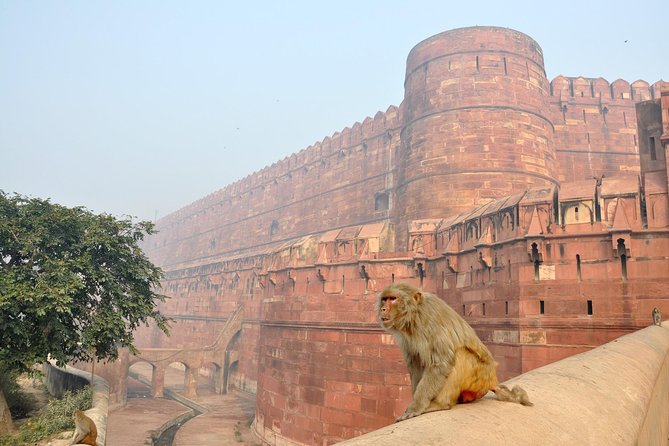 Private Taj Mahal & Agra Tour by Express Train From - Delhi - Comfort and pacing: what you should expect during an ~11-hour day