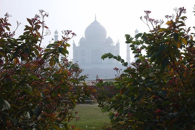 Private Taj Mahal from Delhi to Agra By Car - Agra Fort: The Other Big Mughal Stop You Shouldn’t Skip