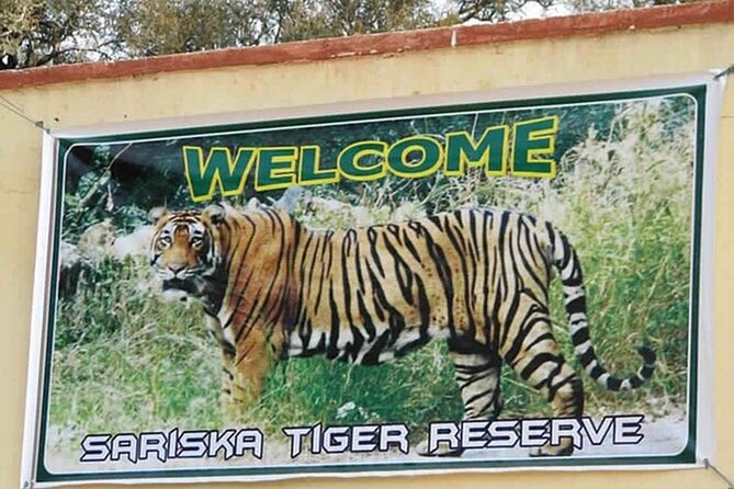 Private Tour from Delhi to Sariska Safari and Jaipur (1N/2D) - Delhi-to-Sariska Transfers: What Makes the Drive Worth It